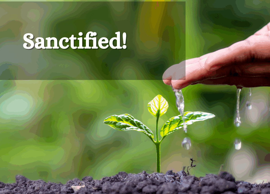 Understanding the Journey of Faith: Justification, Sanctification, and Glorification